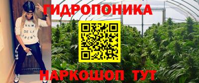 дмт Берёзовский