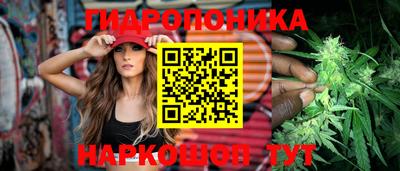 индика Бийск