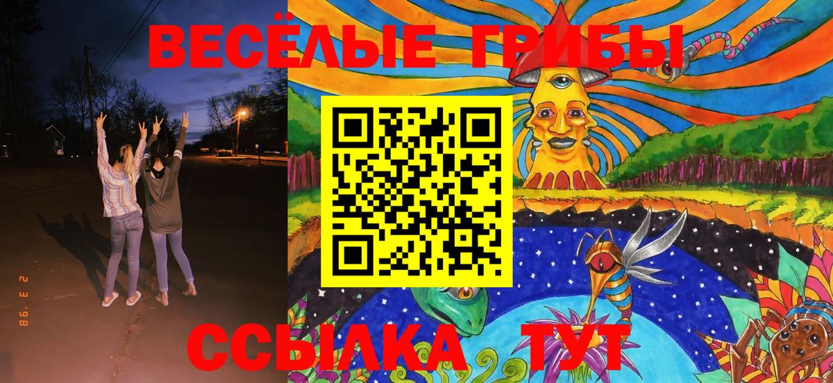 Псилоцибиновые грибы Cubensis  магазин    Урюпинск 