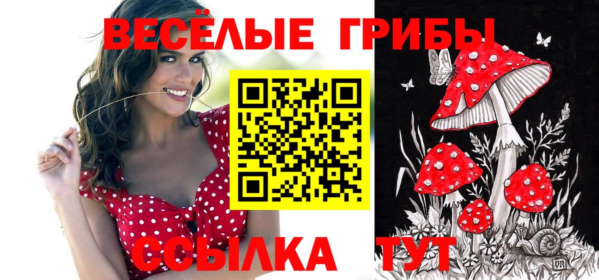 Галлюциногенные грибы мухоморы  Вход с VPN  Урюпинск 