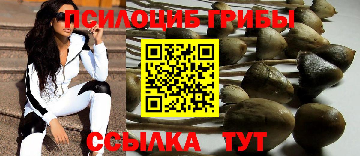 Псилоцибиновые грибы мухоморы Урюпинск